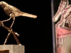 اختتام أيام سينمائية الدولية في فلسطين: فيلم “ازرقاق” وفيلم “إسعاف” يفوزان بجائزة “طائر الشمس”