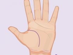 قارنوا خط الحياة على كفّ يدكم بالصور.. واعرفوا إلى ماذا يشير!