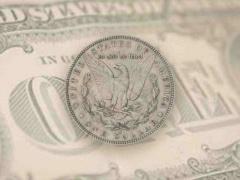 صور- الطائر الرئيس.. عصفور يشبه ترامب يكسب شهرة واسعة في الصين