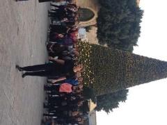 مسرح الحارة يختتم 