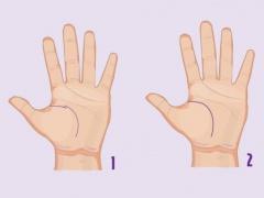 قارنوا خط الحياة على كفّ يدكم بالصور.. واعرفوا إلى ماذا يشير!