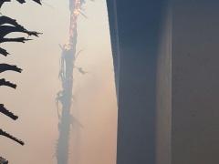 لليوم الثالث - الحرائق مشتعلة واسرائيل تطلب النجدة