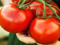 بالصور | على ماذا عثر مواطن من بيت ساحور داخل حبة بندورة