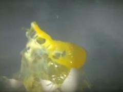 بالفيديو.. ماذا يحدث لو وضعنا بيضة وصابونا في الـ