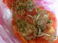 بالصور | على ماذا عثر مواطن من بيت ساحور داخل حبة بندورة