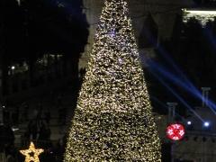 شجرة بيت لحم على قائمة أكثر الأشجار إلهاما وتميزاً بالعالم