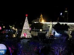 شجرة بيت لحم على قائمة أكثر الأشجار إلهاما وتميزاً بالعالم