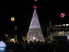 شجرة بيت لحم على قائمة أكثر الأشجار إلهاما وتميزاً بالعالم