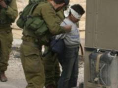 الاحتلال يعتقل طفلا من بيت فجار