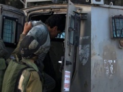 الاحتلال يعتقل 10 مواطنين بالضّفة والقدس