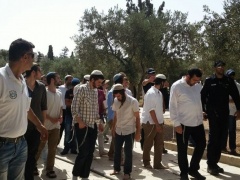 مستوطنون يقتحمون باحات الأقصى بحماية الاحتلال