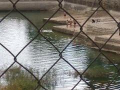 صور - مستوطنون يقتحمون منطقة برك سليمان جنوب بيت لحم