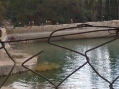 صور - مستوطنون يقتحمون منطقة برك سليمان جنوب بيت لحم