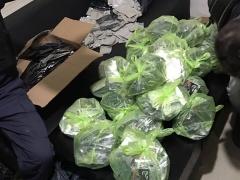 ضبط 3 ألاف وجبة هيروين و8 كغم هايدرو في عناتا