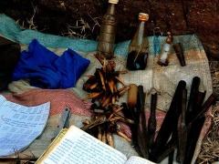 جزائريون يصدرون 