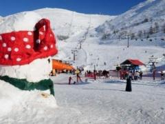 اغلاق جبل الشيخ أمام المتنزهين جراء تساقط الثلوج