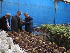 قلقيلية: وكيل وزارة الإعلام ينظم جولة تضامنية في المناطق المعزولة خلف الجدار