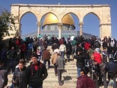 أكثر من 50 ألف فلسطيني يؤدون الجمعة في رحاب الأقصى