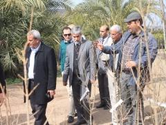 قلقيلية: وكيل وزارة الإعلام ينظم جولة تضامنية في المناطق المعزولة خلف الجدار