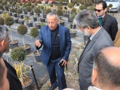 قلقيلية: وكيل وزارة الإعلام ينظم جولة تضامنية في المناطق المعزولة خلف الجدار