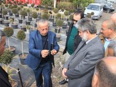 قلقيلية: وكيل وزارة الإعلام ينظم جولة تضامنية في المناطق المعزولة خلف الجدار