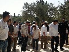 مــستوطنون يقتحمون الأقصى بحماية من الـإحتلال