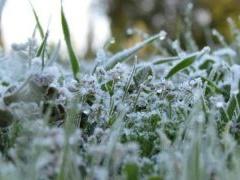 الارصاد تحذر من خطر تشكل الصقيع