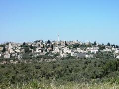 عشرات المستوطنين وقادة للجيش يقتحمون كفل حارس