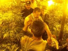 بالصور- ضبط مستنبت مخدرات داخل بئر ماء جنوب الخليل