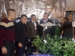 بالصور - شرطة المكافحة تضبط مستنبت مخدرات في بيت امر