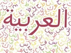 10 أخطاء لغوية شائعة.. تجنّبها!
