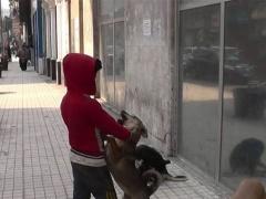 ملياردير يتكفل بنفقات تربية وتعليم طفل هزت قصته مصر