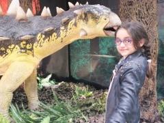 افتتاح متحف الديناصورات والحشرات العملاقة في قصر المؤتمرات