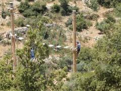 -بمشاركة 30 فرداً- كشافة 