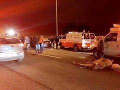 بالصور :اصابة 5 أشخاص في حادث سير على طريق أريحا القدس