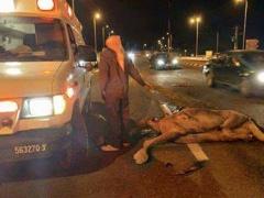 بالصور :اصابة 5 أشخاص في حادث سير على طريق أريحا القدس