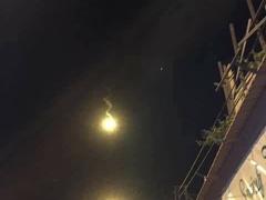 بالفيديو:مستوطن يدهس 4 فلسطينيات في بلدة صور باهر بالقدس