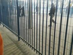 (بالصور والفيديو) اعتقال فتاة بزعم طعنها مجندة على حاجز قلنديا