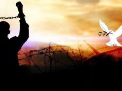 اليوم الـ 16 لإضراب الأسرى- والفعاليات التضامنية مستمرة