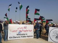 (بالصور) نشطاء يقيمون 