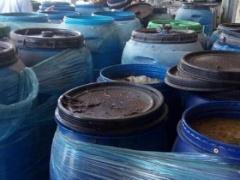 ضبط ٧.٥ طن زيتون مخلل غير صالح للاستهلاك في سلفيت