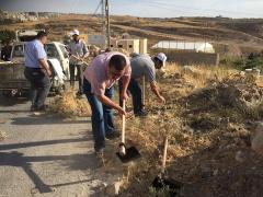 بالصور- مبادرة بيت ساحور نظيفة