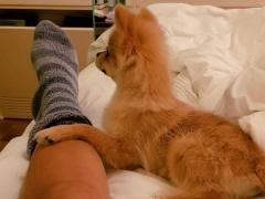 إليسا: أنا في حالة حب!