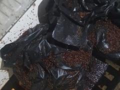 روائح كريهة من منزل مُسنة مصرية .. وماعثرت عليه الشرطة مُروع وصادم