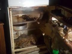 روائح كريهة من منزل مُسنة مصرية .. وماعثرت عليه الشرطة مُروع وصادم