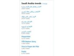 شاهد- تصاعد الحملة السعودية ضد “شيرين” ودعوات لمنع حفلها بالرياض