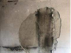 بالصور: قصة الأسرة والنار المرعبة.. قصة ليس لاصحابه مفر منها!