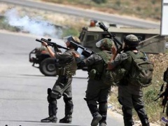 قوات الاحتلال تغلق جميع مداخل قرية عزون شرق قلقيلية