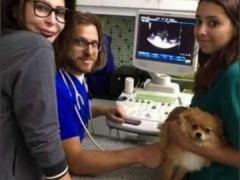 بالصور .. اليسا من المستشفى تشغل مواقع التواصل