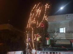 (صور) إضاءة شجرة 